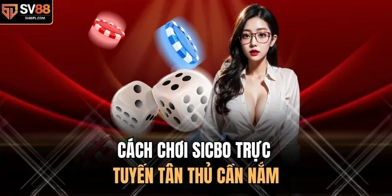 Cách chơi Sicbo trực tuyến tân thủ cần nắm
