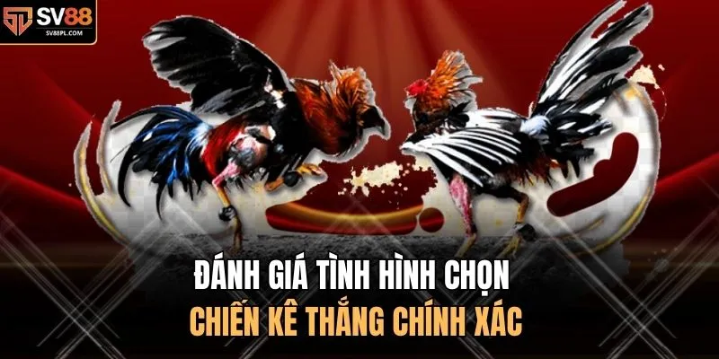 Đánh giá tình hình chọn chiến kê thắng chính xác