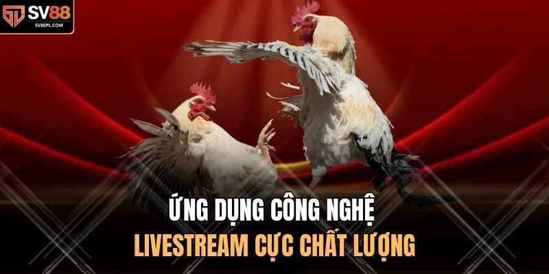 Ứng dụng công nghệ livestream cực chất lượng